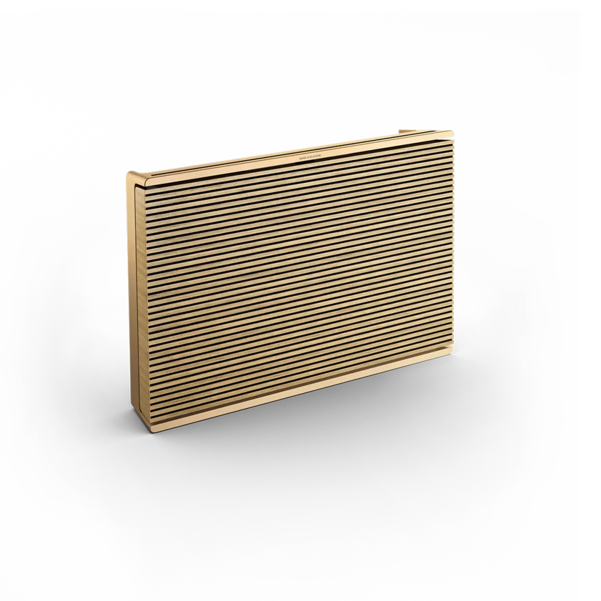 Bang & Olufsen Beosound Level Taşınabilir Multiroom Kablosuz Hoparlör