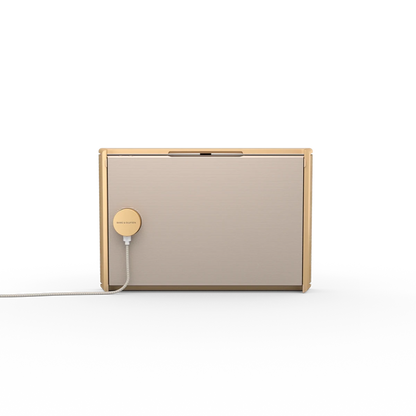 Bang & Olufsen Beosound Level Taşınabilir Multiroom Kablosuz Hoparlör