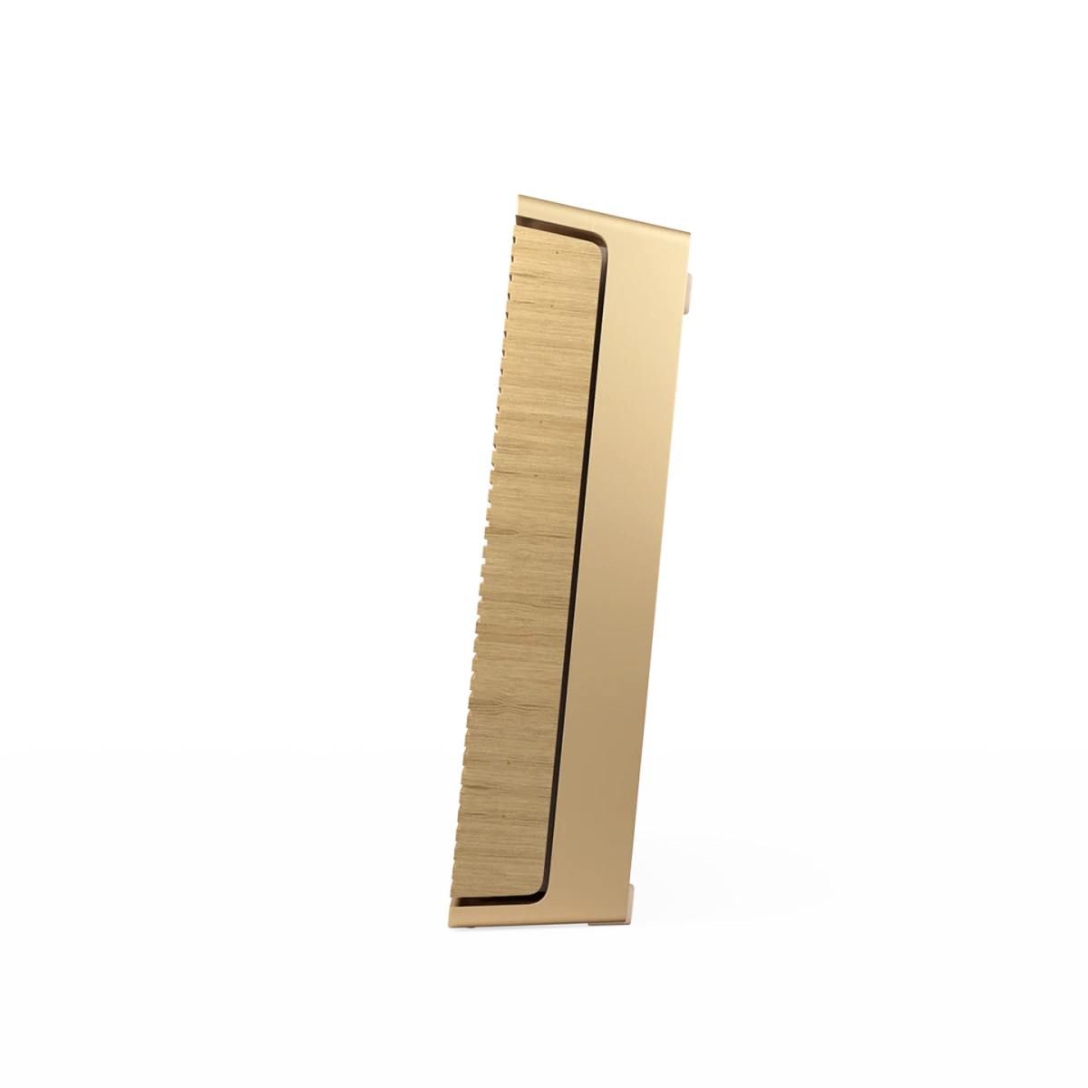 Bang & Olufsen Beosound Level Taşınabilir Multiroom Kablosuz Hoparlör