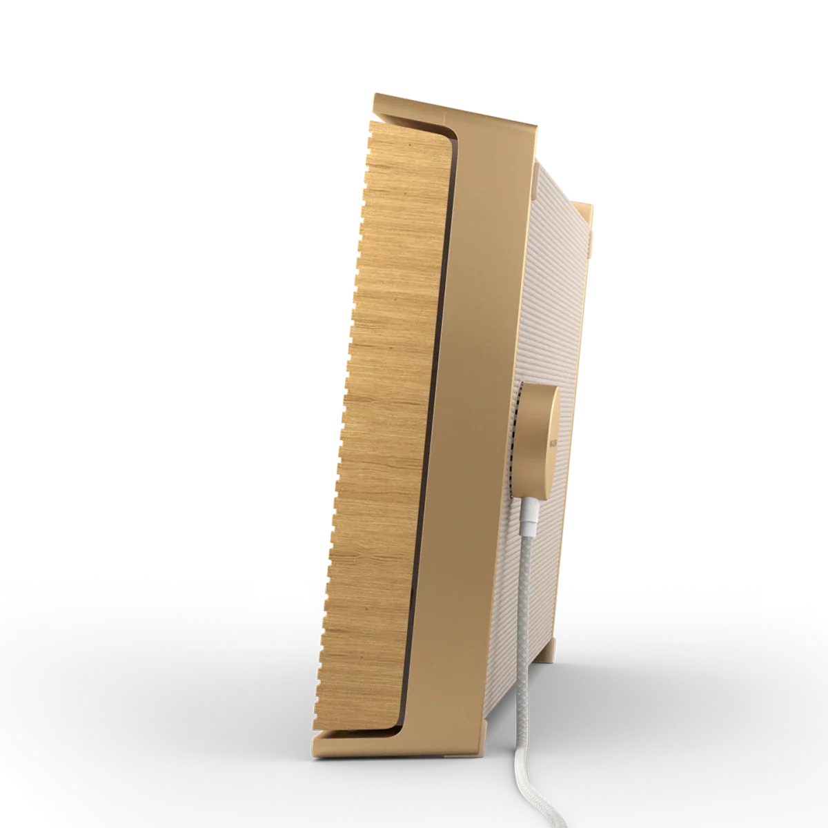 Bang & Olufsen Beosound Level Taşınabilir Multiroom Kablosuz Hoparlör