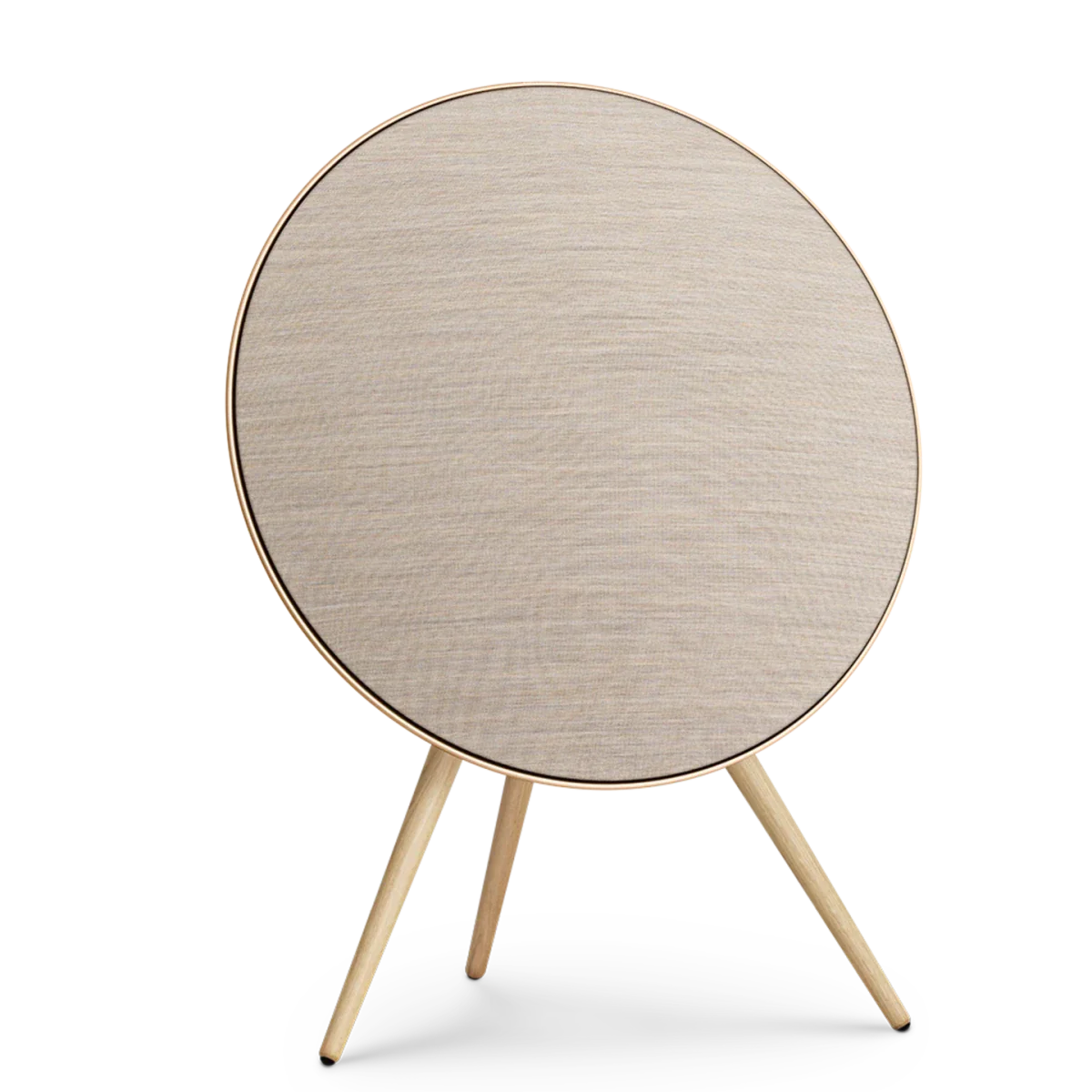 Bang & Olufsen Beosound A9 Multiroom Kablosuz Hoparlör