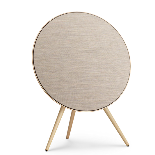 Bang & Olufsen Beosound A9 Multiroom Kablosuz Hoparlör
