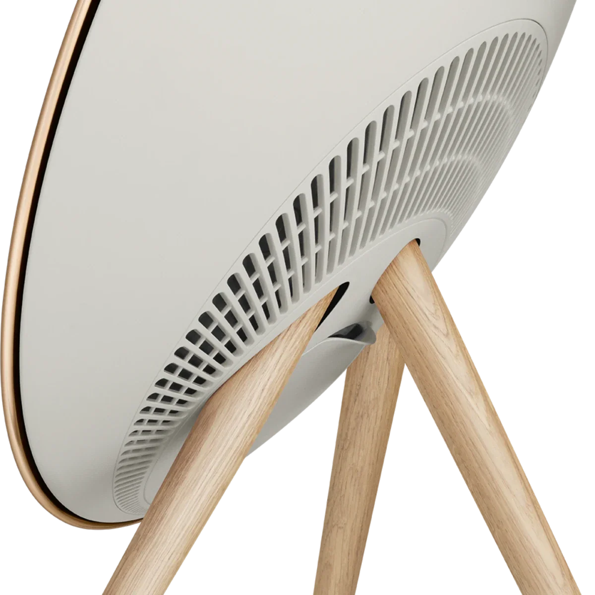 Bang & Olufsen Beosound A9 Multiroom Kablosuz Hoparlör