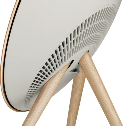 Bang & Olufsen Beosound A9 Multiroom Kablosuz Hoparlör