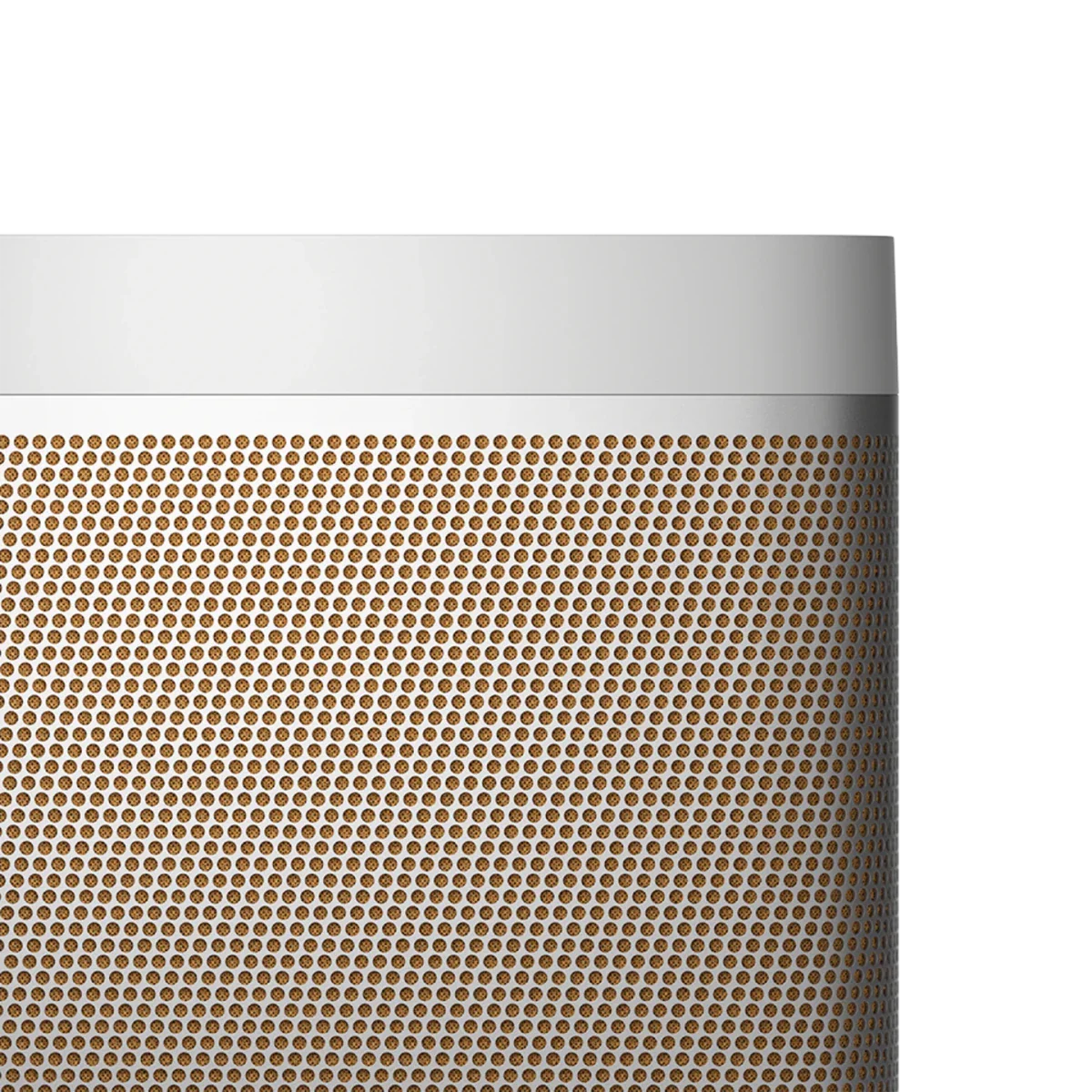 Bang & Olufsen Beolit 20 Taşınabilir Bluetooth Hoparlör