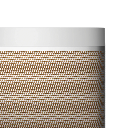 Bang & Olufsen Beolit 20 Taşınabilir Bluetooth Hoparlör