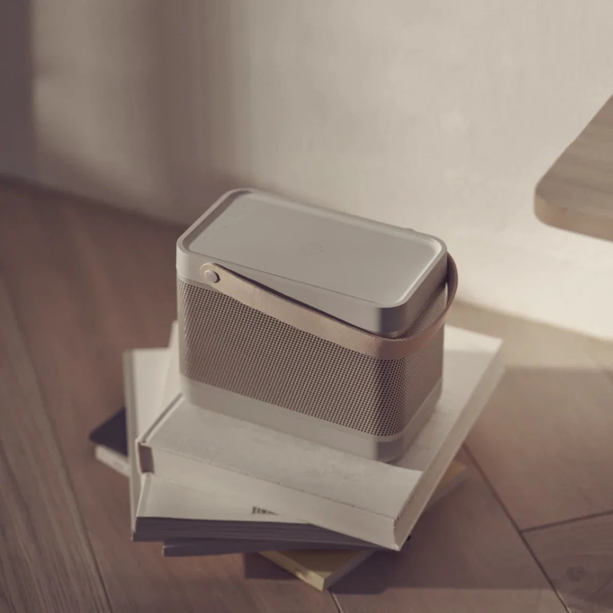 Bang & Olufsen Beolit 20 Taşınabilir Bluetooth Hoparlör