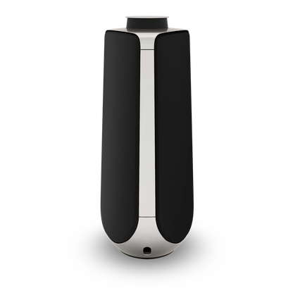 Bang & Olufsen BeoLab 50 Kablosuz High-End Aktif Hoparlör