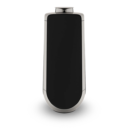 Bang & Olufsen BeoLab 50 Kablosuz High-End Aktif Hoparlör