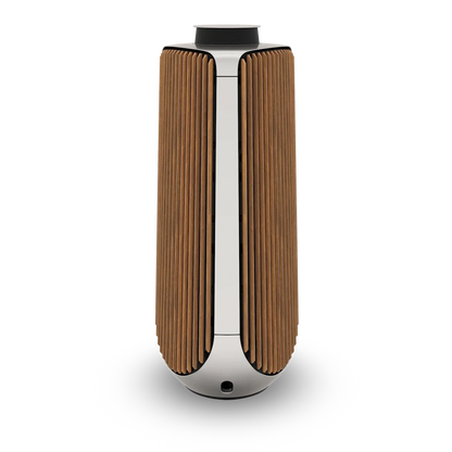 Bang & Olufsen BeoLab 50 Kablosuz High-End Aktif Hoparlör
