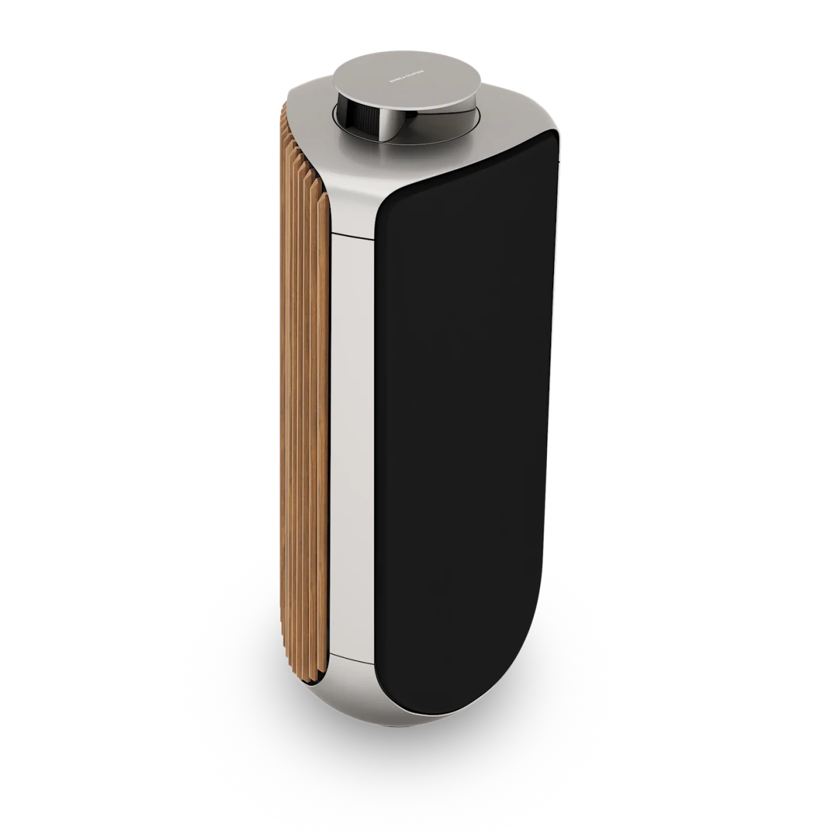 Bang & Olufsen BeoLab 50 Kablosuz High-End Aktif Hoparlör