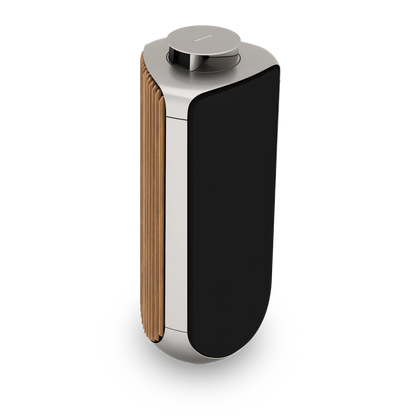 Bang & Olufsen BeoLab 50 Kablosuz High-End Aktif Hoparlör