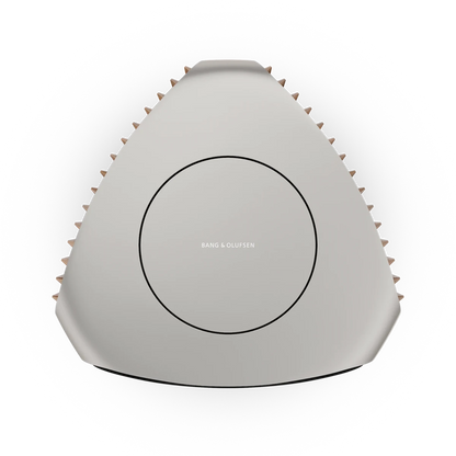 Bang & Olufsen BeoLab 50 Kablosuz High-End Aktif Hoparlör