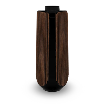 Bang & Olufsen BeoLab 50 Kablosuz High-End Aktif Hoparlör