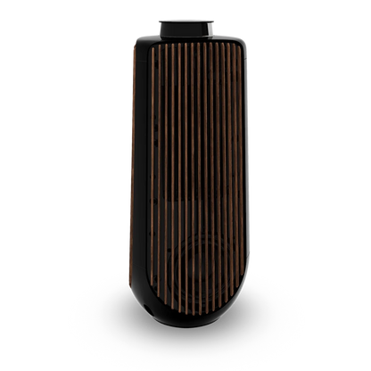 Bang & Olufsen BeoLab 50 Kablosuz High-End Aktif Hoparlör
