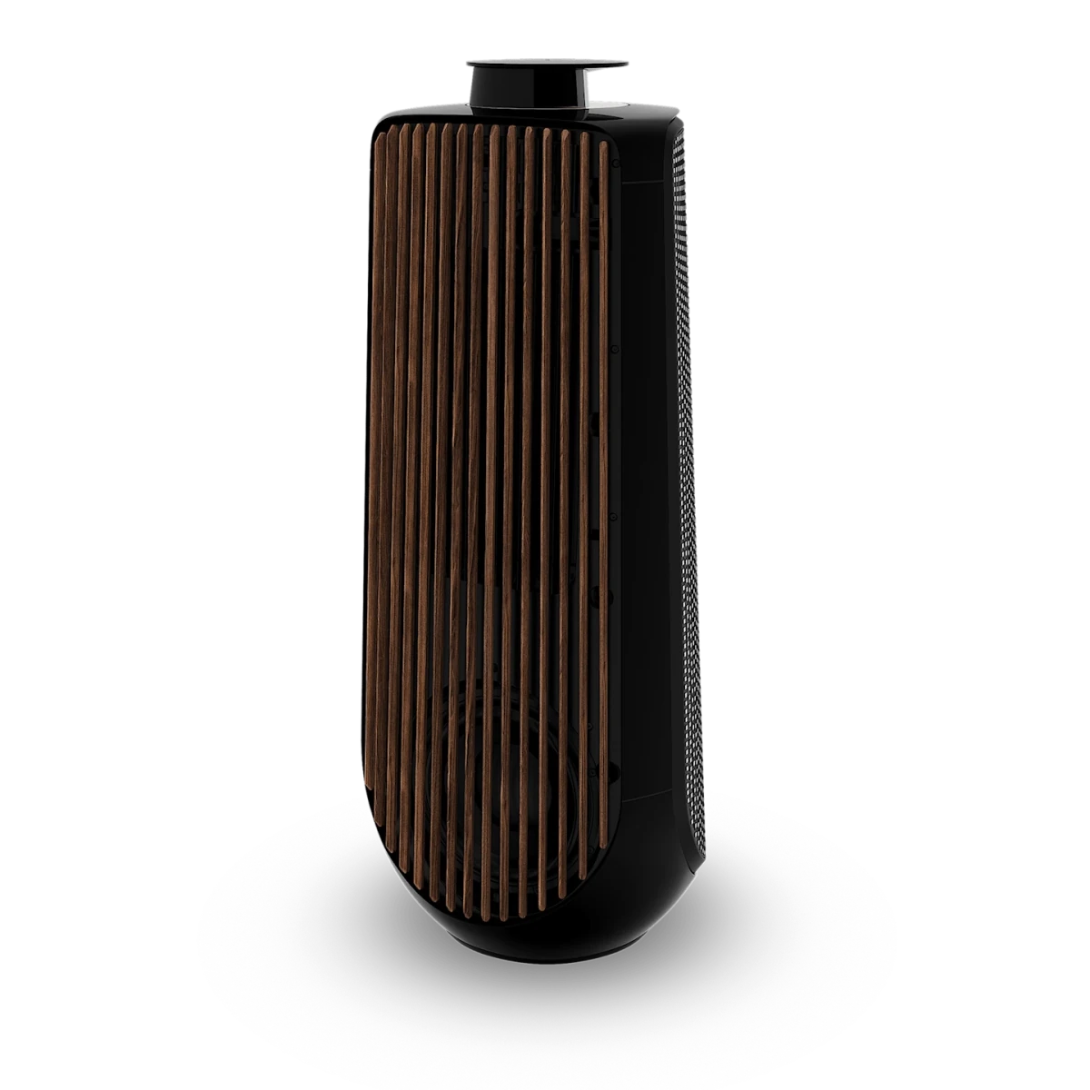 Bang & Olufsen BeoLab 50 Kablosuz High-End Aktif Hoparlör