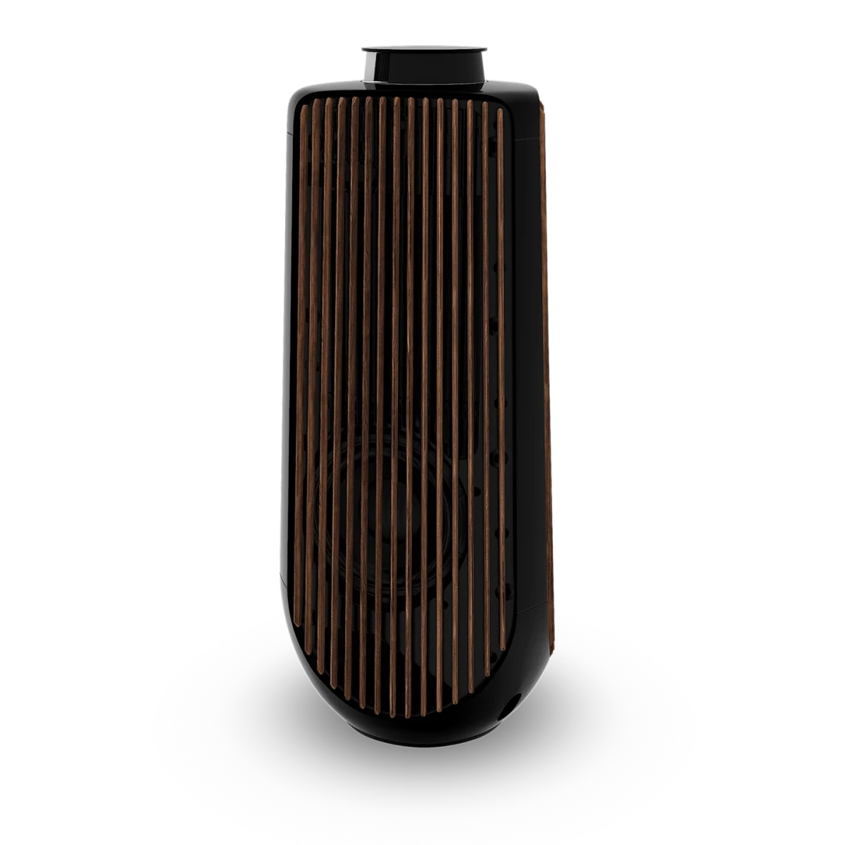 Bang & Olufsen BeoLab 50 Kablosuz High-End Aktif Hoparlör