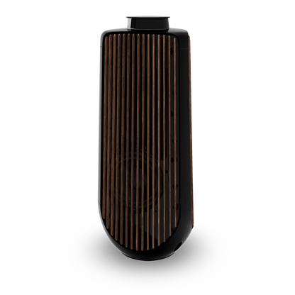 Bang & Olufsen BeoLab 50 Kablosuz High-End Aktif Hoparlör