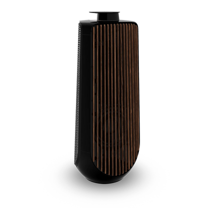 Bang & Olufsen BeoLab 50 Kablosuz High-End Aktif Hoparlör