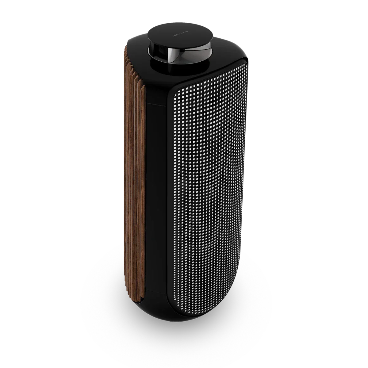 Bang & Olufsen BeoLab 50 Kablosuz High-End Aktif Hoparlör