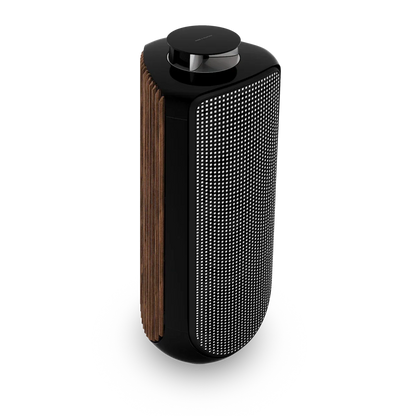 Bang & Olufsen BeoLab 50 Kablosuz High-End Aktif Hoparlör