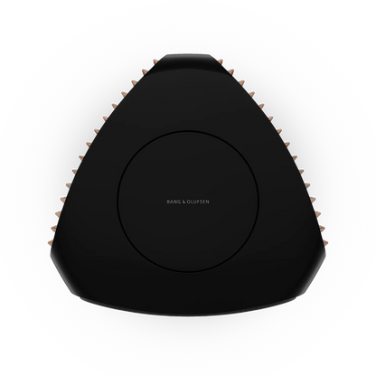 Bang & Olufsen BeoLab 50 Kablosuz High-End Aktif Hoparlör
