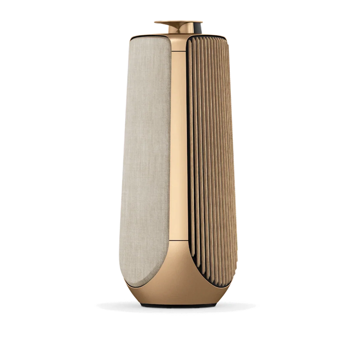 Bang & Olufsen BeoLab 50 Kablosuz High-End Aktif Hoparlör