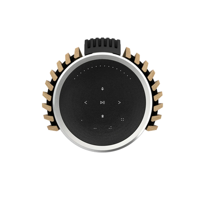 Bang & Olufsen BeoLab 28 Kablosuz Hi-Fi Aktif Hoparlör