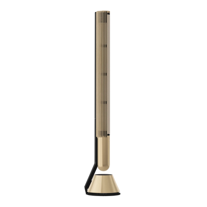 Bang & Olufsen BeoLab 28 Kablosuz Hi-Fi Aktif Hoparlör