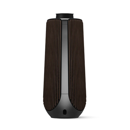 Bang & Olufsen BeoLab 50 Kablosuz High-End Aktif Hoparlör
