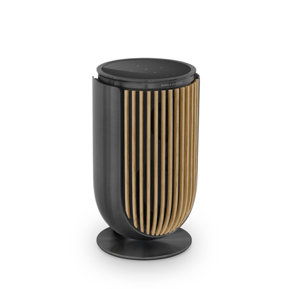 Bang & Olufsen Beolab 8 Multiroom Kablosuz Hoparlör