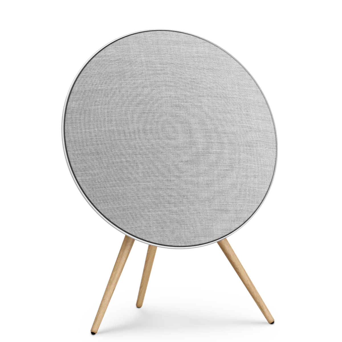 Bang & Olufsen Beosound A9 Multiroom Kablosuz Hoparlör