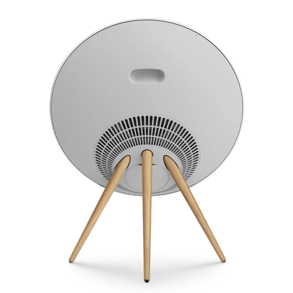 Bang & Olufsen Beosound A9 Multiroom Kablosuz Hoparlör