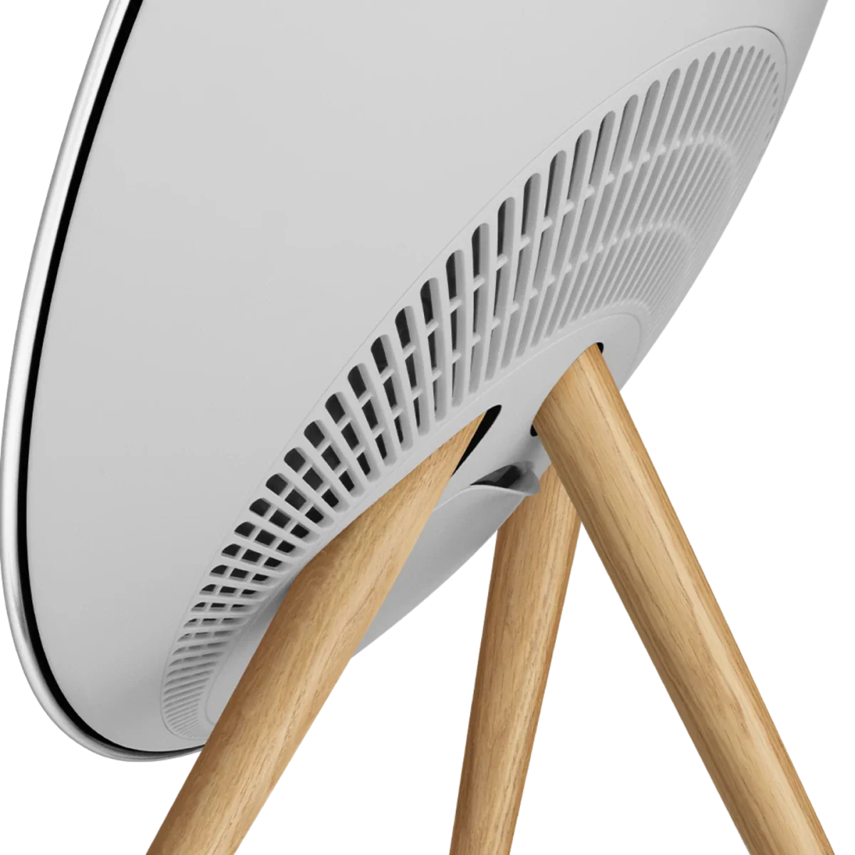 Bang & Olufsen Beosound A9 Multiroom Kablosuz Hoparlör