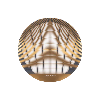 Bang & Olufsen Celestial Tavan İçi Yuvarlak Mimari Hoparlör
