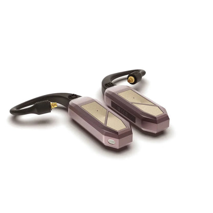 iFi Audio Go Pod MAX Kablosuz Adaptör