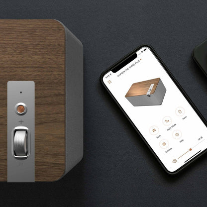 Klipsch The Three Plus - Bluetooth Aktif Hoparlör Tek
