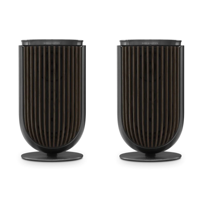 Bang & Olufsen Beolab 8 Multiroom Kablosuz Hoparlör