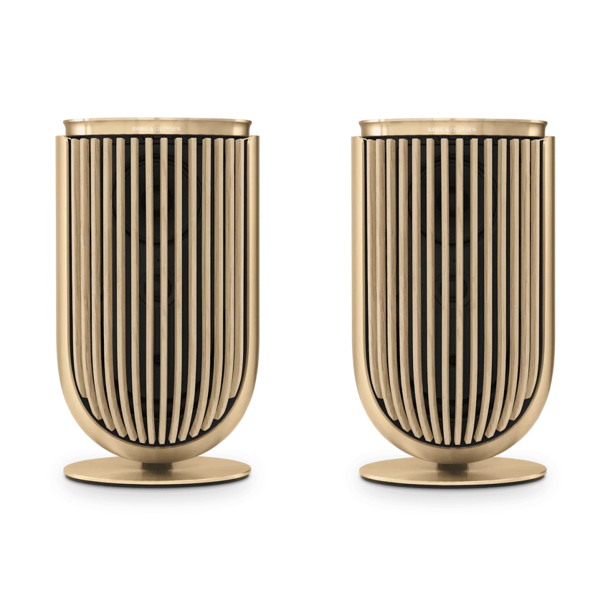 Bang & Olufsen Beolab 8 Multiroom Kablosuz Hoparlör