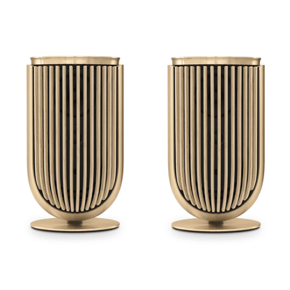 Bang & Olufsen Beolab 8 Multiroom Kablosuz Hoparlör