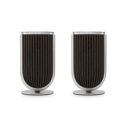 Bang & Olufsen Beolab 8 Multiroom Kablosuz Hoparlör