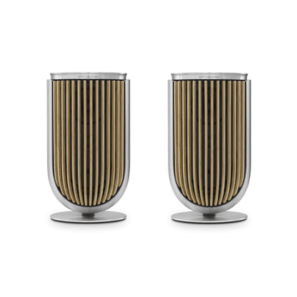 Bang & Olufsen Beolab 8 Multiroom Kablosuz Hoparlör