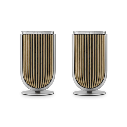Bang & Olufsen Beolab 8 Multiroom Kablosuz Hoparlör