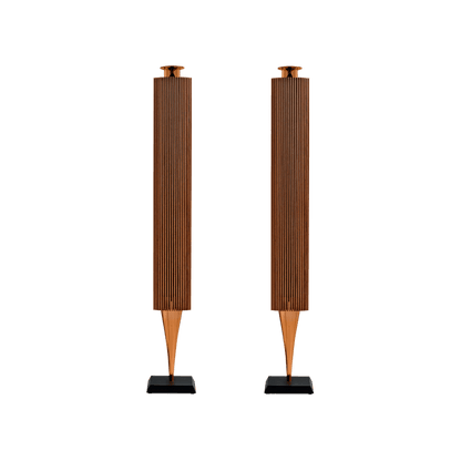 Bang & Olufsen BeoLab 18 Kablosuz Aktif Hoparlör