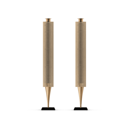 Bang & Olufsen BeoLab 18 Kablosuz Aktif Hoparlör