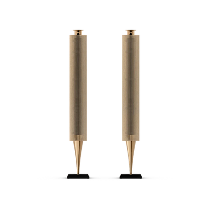 Bang & Olufsen BeoLab 18 Kablosuz Aktif Hoparlör