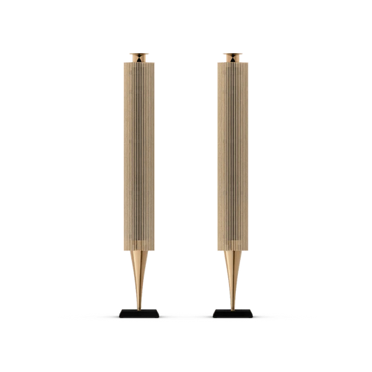 Bang & Olufsen BeoLab 18 Kablosuz Aktif Hoparlör