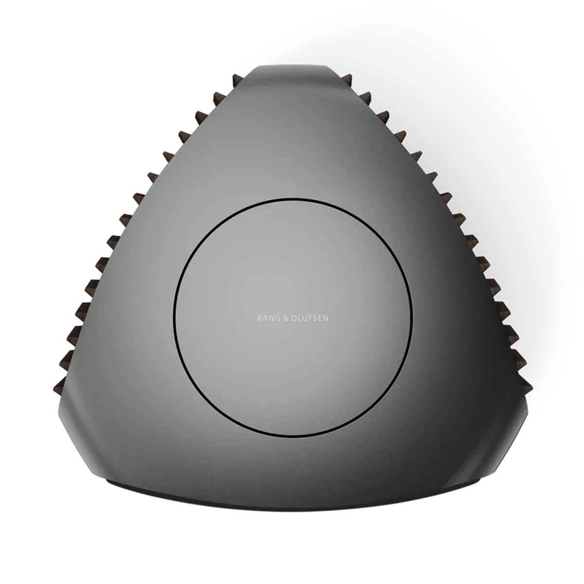 Bang & Olufsen BeoLab 50 Kablosuz High-End Aktif Hoparlör