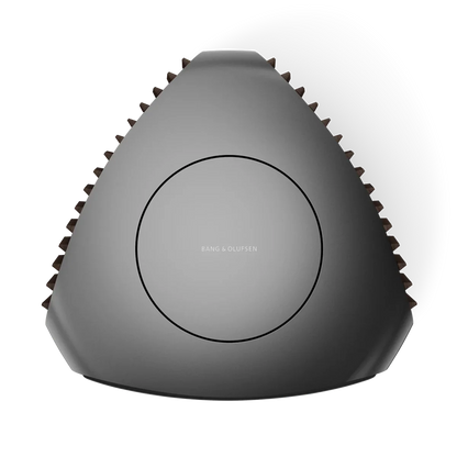Bang & Olufsen BeoLab 50 Kablosuz High-End Aktif Hoparlör