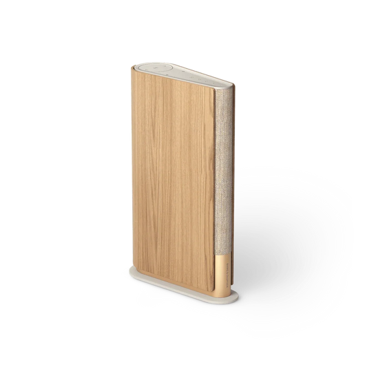 Bang & Olufsen Beosound Emerge Multiroom Hoparlör